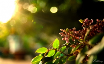 Một vài bài thơ trong tác phẩm "Hiểu về trái tim"